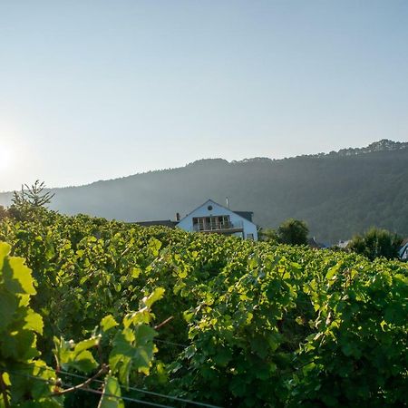 Weingut Johanneshof Minheim 外观 照片