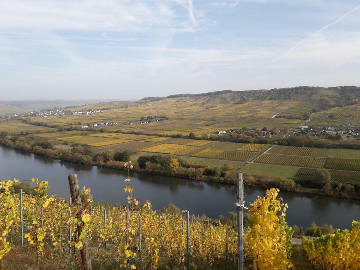 Weingut Johanneshof Minheim 外观 照片