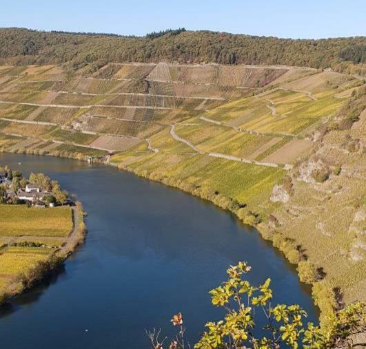 Weingut Johanneshof Minheim 外观 照片