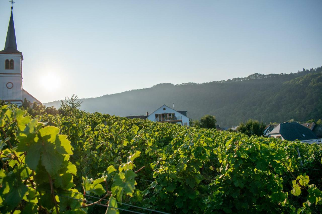 Weingut Johanneshof Minheim 外观 照片