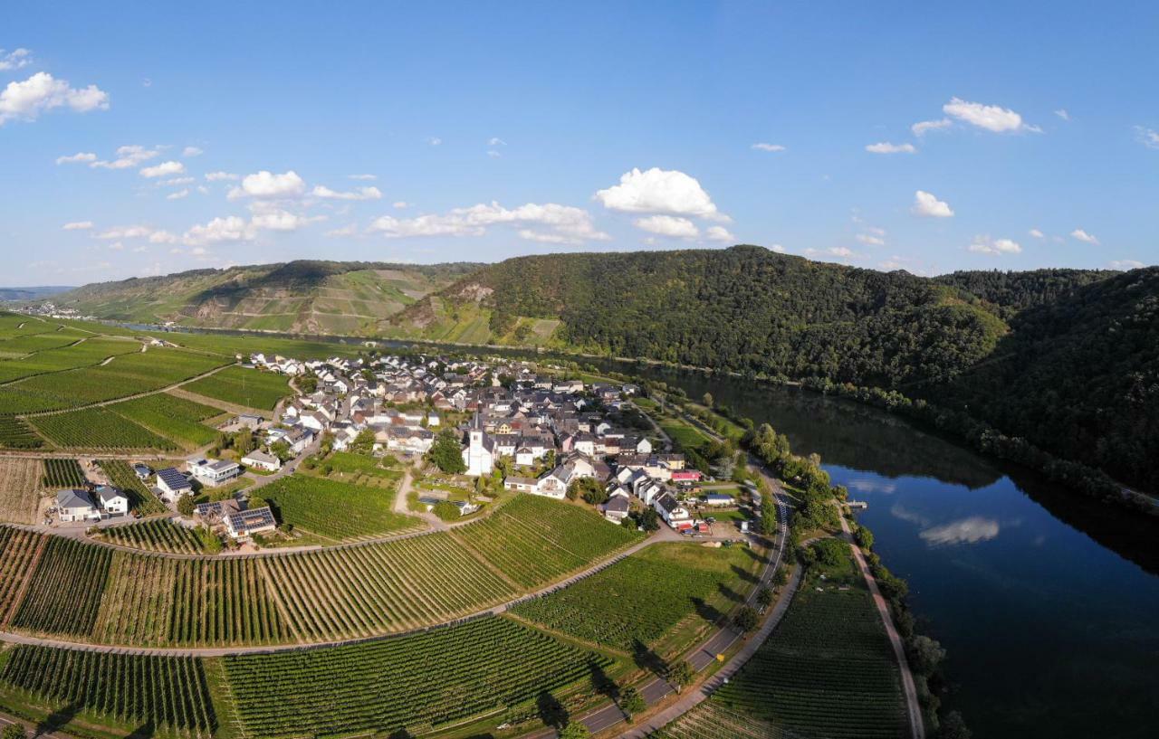Weingut Johanneshof Minheim 外观 照片