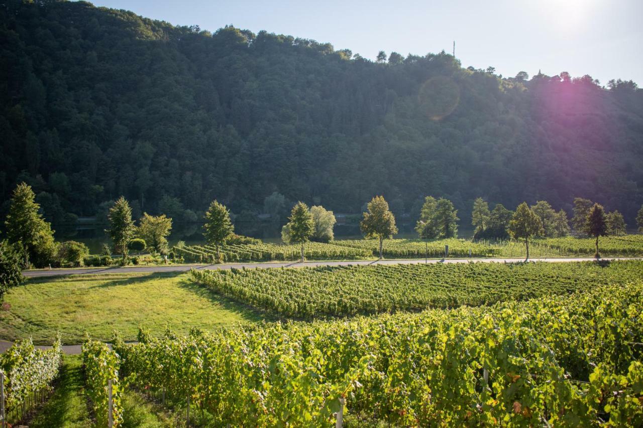 Weingut Johanneshof Minheim 外观 照片